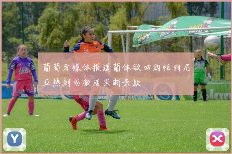 葡萄牙媒体报道葡体欲回购帕利尼亚热刺或激活买断条款